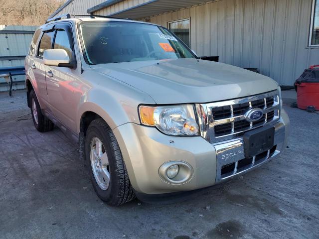 2010 Ford Escape