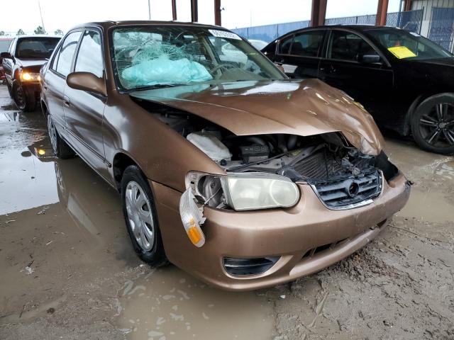 TOYOTA COROLLA CE 2001 with VIN 2T1BR12E71C488996 - Photo from auction