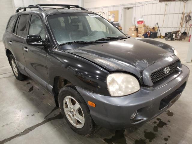 HYUNDAI SANTA FE 2004 with VIN KM8SC73E14U717386 - Photo from auction