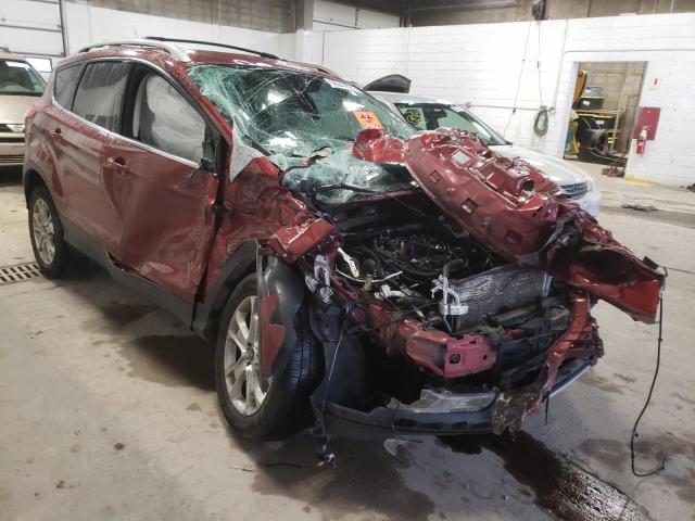Photo 1 from auction – 2014 FORD ESCAPE TIT with VIN 1FMCU0JXXEUC68319
