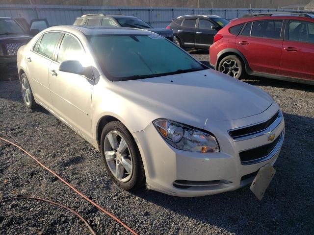 CHEVROLET MALIBU 2LT 2011 with VIN 1G1ZD5E18BF118431 - Photo from auction