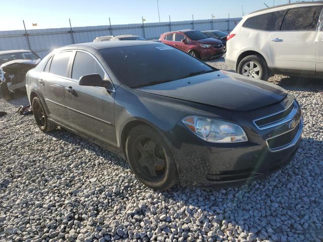 CHEVROLET MALIBU LS 2010 with VIN 1G1ZB5EBXAF251253 - Photo from auction