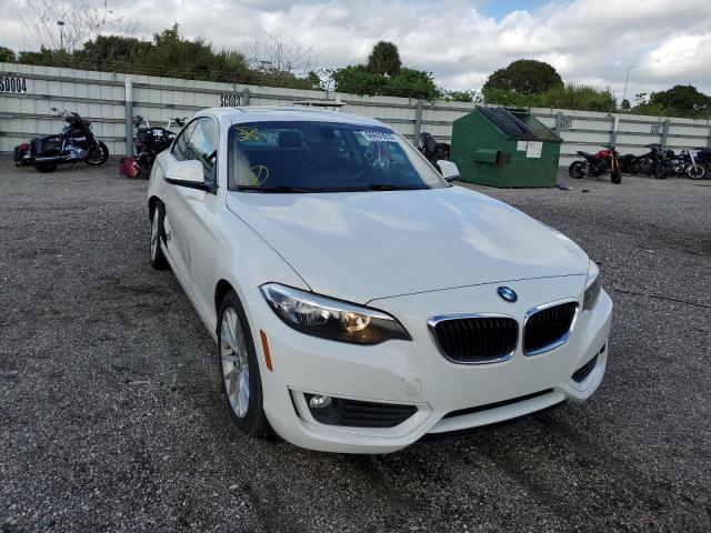 BMW 228 I 2015 with VIN WBA1F5C50FV256591 - Photo from auction