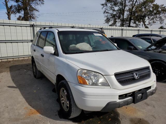 HONDA PILOT EX 2005 with VIN 5FNYF18475B006241 - Photo from auction