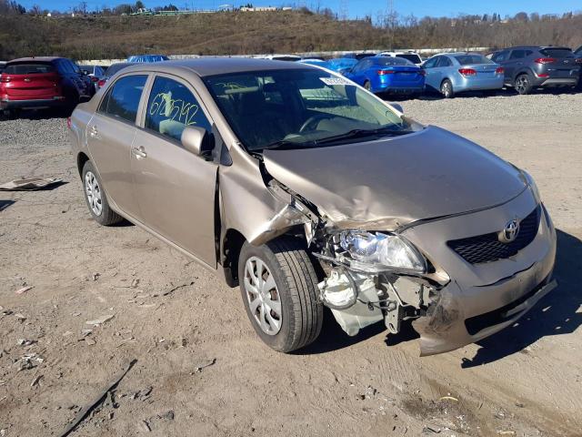 TOYOTA COROLLA BA 2009 with VIN 1NXBU40E99Z087799 - Photo from auction