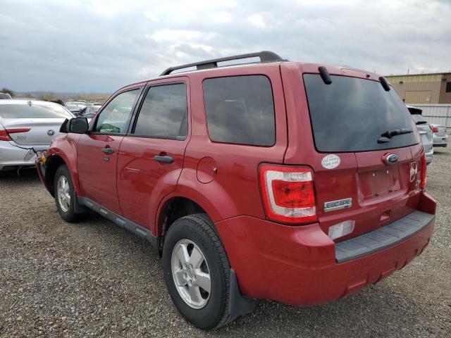 Photo 3 from auction – 2011 FORD ESCAPE XLT with VIN 1FMCU0DG7BKB71002