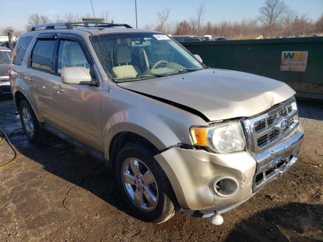 Photo 1 from auction – 2010 FORD ESCAPE LIM with VIN 1FMCU0EG6AKA03266