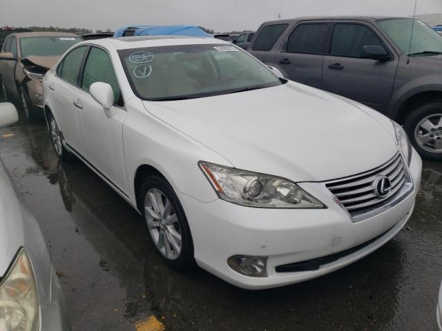 LEXUS ES 330 2005 with VIN JTHBA30G155062617 - Photo from auction