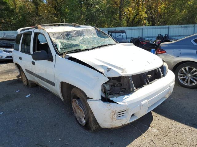 CHEVROLET TRAILBLAZE 2003 with VIN 1GNDS13S732250348 - Photo from auction