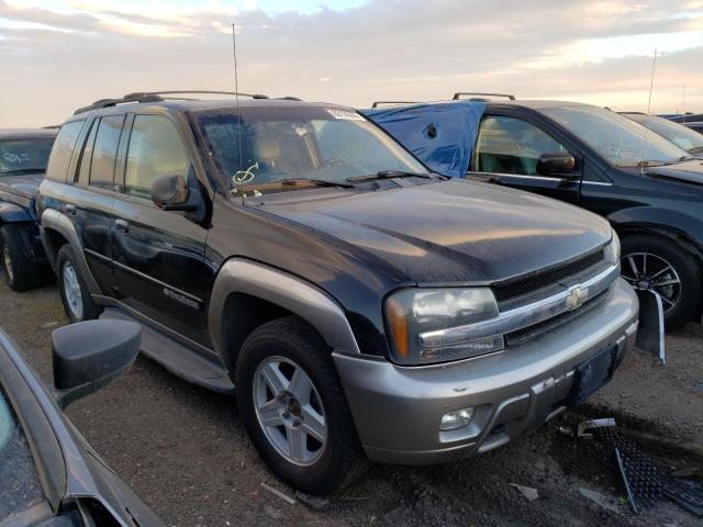 CHEVROLET TRAILBLAZE 2003 with VIN 1GNDT13S032175490 - Photo from auction
