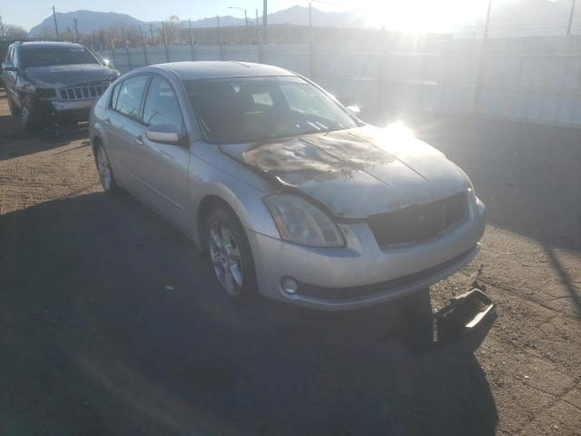 NISSAN MAXIMA SE 2006 with VIN 1N4BA41E46C863792 - Photo from auction