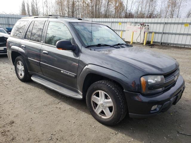 CHEVROLET TRAILBLAZE 2003 with VIN 1GNDT13SX32240877 - Photo from auction