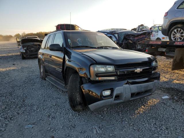 CHEVROLET TRAILBLAZE 2003 with VIN 1GNDT13S232247645 - Photo from auction