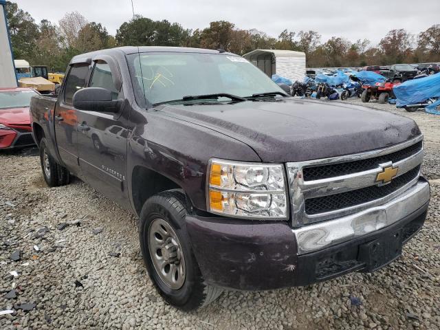 CHEVROLET SILVERADO 2008 with VIN 2GCEC13C981325433 - Photo from auction