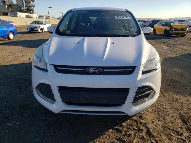 Photo 9 from auction – 2014 FORD ESCAPE SE with VIN 1FMCU0GX3EUA05581