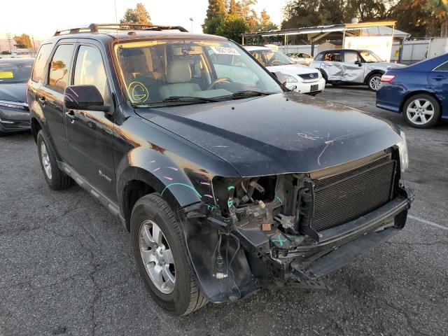 FORD ESCAPE HYB 2009 with VIN 1FMCU49399KA45764 - Photo from auction