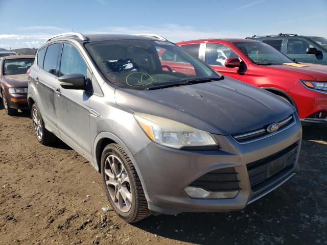 Photo 1 from auction – 2014 FORD ESCAPE TIT with VIN 1FMCU0J94EUA79389
