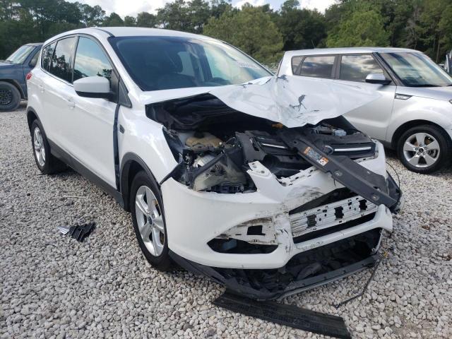 FORD ESCAPE SE 2016 with VIN 1FMCU0G96GUC29500 - Photo from auction