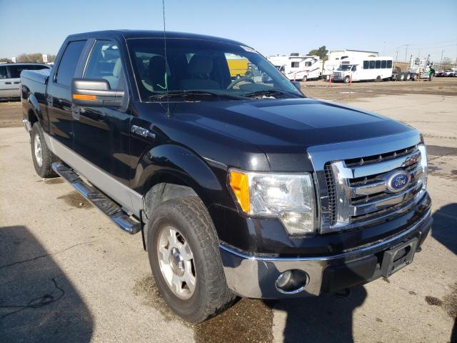 FORD F150 SUPER 2010 with VIN 1FTEW1E85AKA17875 - Photo from auction