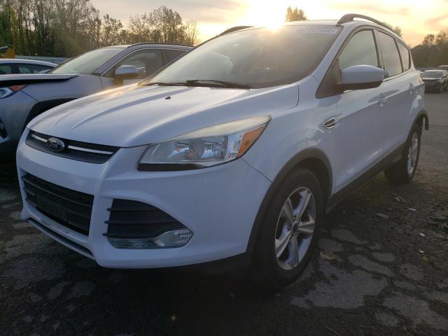 Photo 2 from auction – 2014 FORD ESCAPE SE with VIN 1FMCU0GXXEUC46344