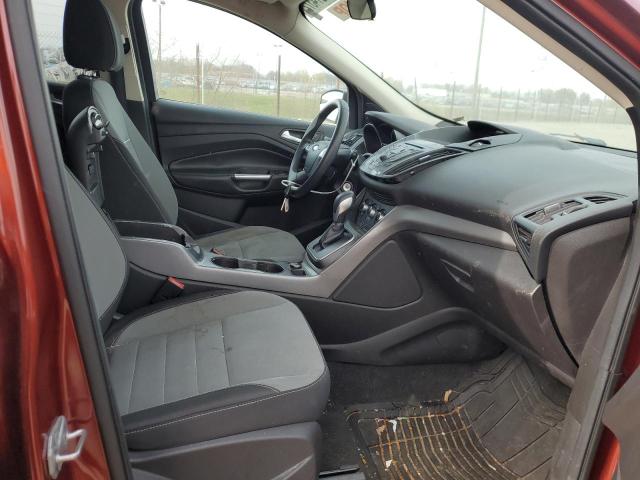 Photo 5 from auction – 2014 FORD ESCAPE SE with VIN 1FMCU0GX2EUA49846