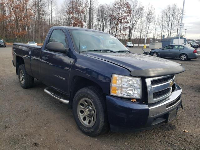 CHEVROLET SILVERADO 2010 with VIN 1GCPKPEA4AZ133148 - Photo from auction