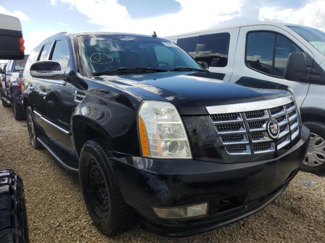 CADILLAC ESCALADE L 2007 with VIN 1GYEC63887R392789 - Photo from auction