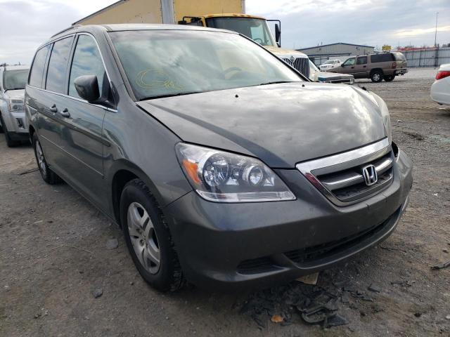 HONDA ODYSSEY EX 2007 with VIN 5FNRL38667B461756 - Photo from auction