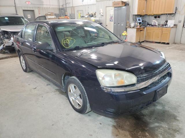 CHEVROLET MALIBU LS 2004 with VIN 1G1ZT54874F111409 - Photo from auction