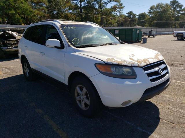 HYUNDAI SANTA FE G 2007 with VIN 5NMSG13D27H017451 - Photo from auction