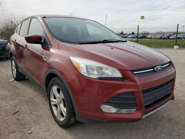 FORD ESCAPE SE 2014 with VIN 1FMCU0GX2EUA49846 - Photo from auction