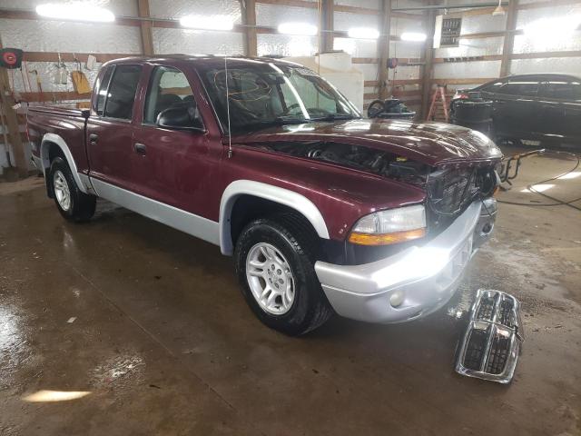 DODGE DAKOTA 2003 with VIN 1D7HL48X23S210262 - Photo from auction