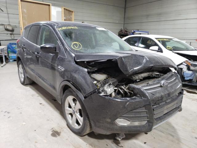 FORD ESCAPE SE 2014 with VIN 1FMCU0GX3EUB46148 - Photo from auction