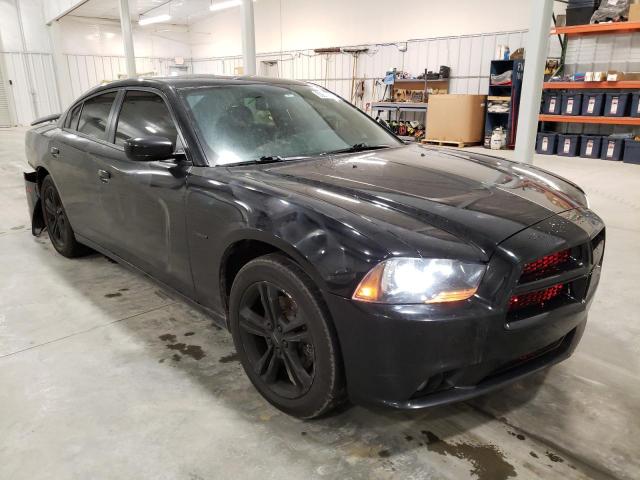 DODGE CHARGER R/ 2014 with VIN 2C3CDXDT9EH320021 - Photo from auction