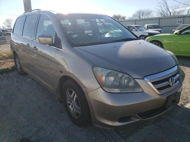 HONDA ODYSSEY EX 2005 with VIN 5FNRL38615B405057 - Photo from auction