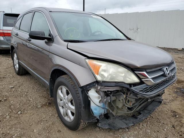 HONDA CR-V SE 2011 with VIN 5J6RE4H41BL090701 - Photo from auction