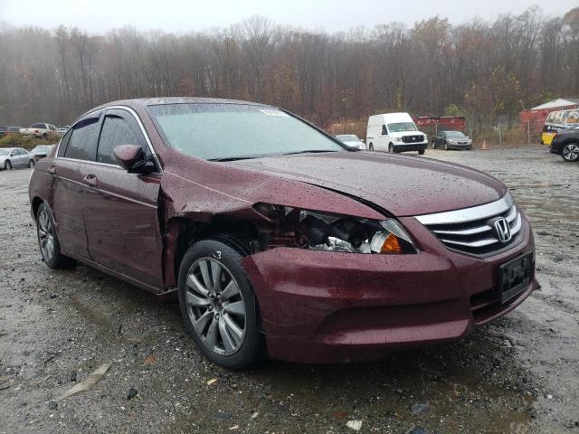 HONDA ACCORD EXL 2011 with VIN 1HGCP2F86BA010788 - Photo from auction