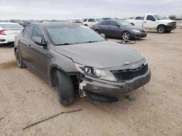 KIA OPTIMA LX 2011 with VIN KNAGM4A74B5074448 - Photo from auction