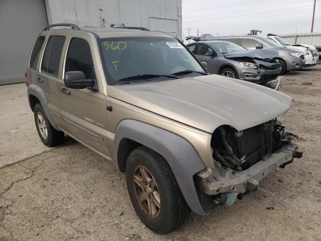 Photo 1 from auction – 2003 JEEP LIBERTY SP with VIN 1J4GL48K13W693482