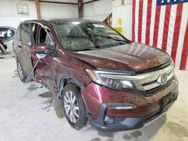 HONDA PILOT EX 2020 with VIN 5FNYF5H3XLB019805 - Photo from auction