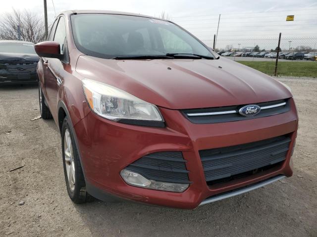 Photo 9 from auction – 2014 FORD ESCAPE SE with VIN 1FMCU0GX2EUA49846