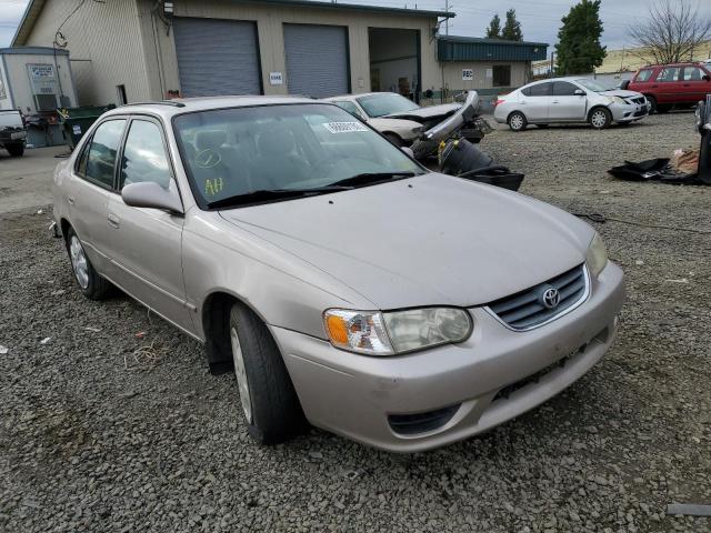 TOYOTA COROLLA CE 2002 with VIN 1NXBR12E42Z579904 - Photo from auction