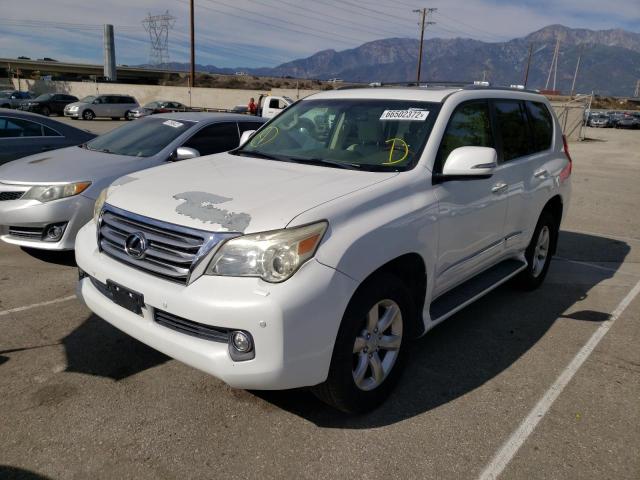 Photo 2 from auction – 2010 LEXUS GX 460 PRE with VIN JTJJM7FX1A5008678