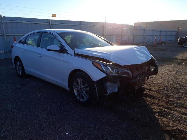 HYUNDAI SONATA SE 2015 with VIN 5NPE24AF5FH209028 - Photo from auction