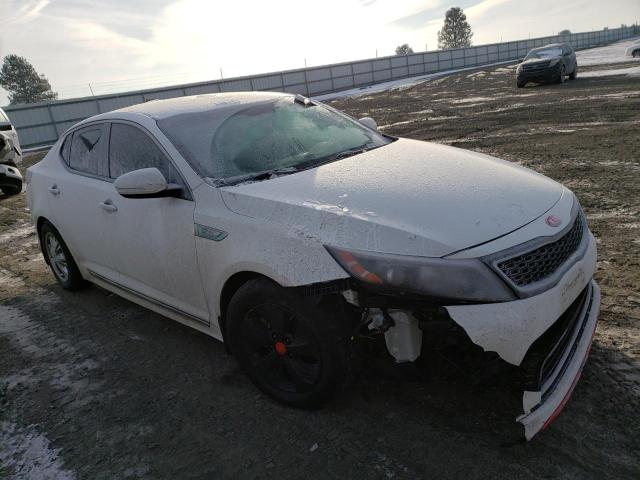 KIA OPTIMA HYB 2014 with VIN KNAGM4AD1E5064051 - Photo from auction