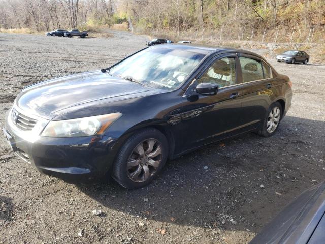HONDA ACCORD EXL 2010 with VIN 1HGCP2F82AA142946 - Photo from auction