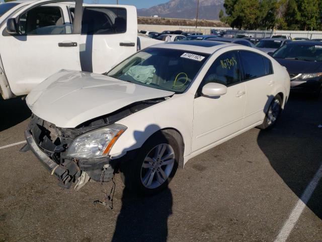 NISSAN MAXIMA SE 2008 with VIN 1N4BA41E38C836411 - Photo from auction