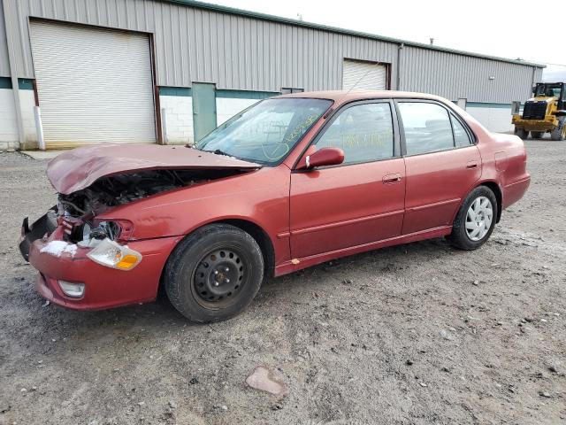 TOYOTA COROLLA CE 2002 with VIN 1NXBR12E22Z621437 - Photo from auction
