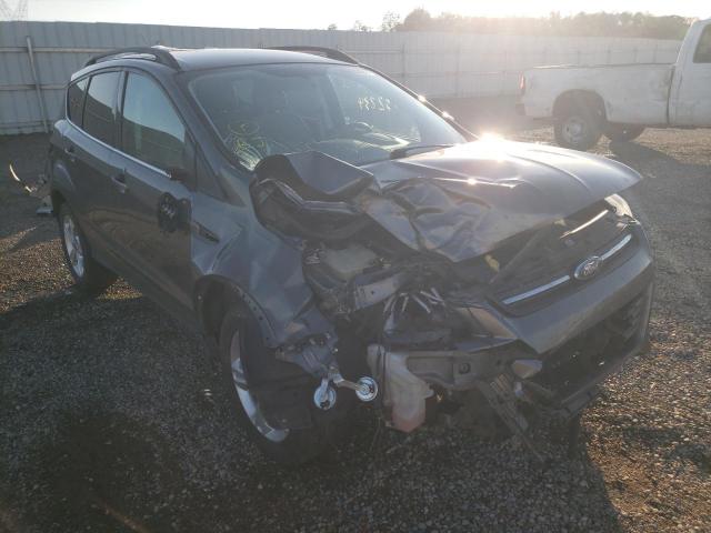 Photo 1 from auction – 2014 FORD ESCAPE SE with VIN 1FMCU9GX5EUB32367
