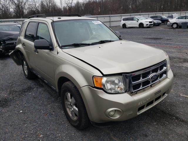 FORD ESCAPE XLT 2010 with VIN 1FMCU9DG9AKA79554 - Photo from auction
